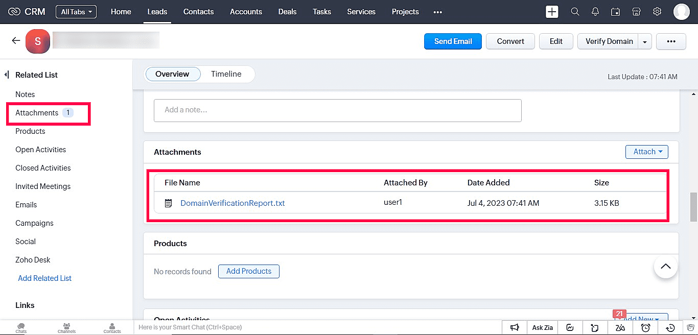 Domain Verifier for Zoho CRM